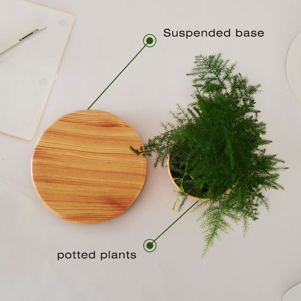 Magnetic Levitation Electric Powered Wooden Bonsai Floating Flower Pot 12-15mm Levitation Creative Modern 15V 1A Certified
