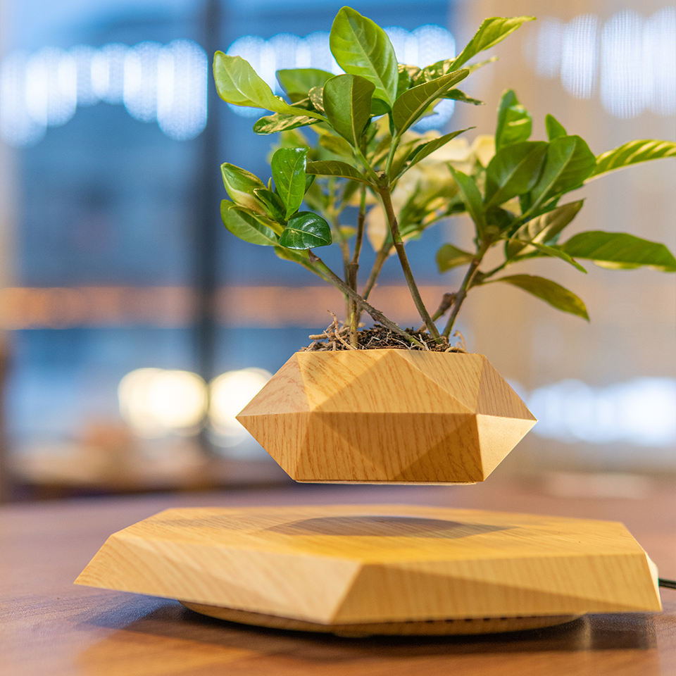 Factory Price Magnetic Levitation Bonsai Pot Floating Flower Pot Personalized DIY Art Deco Decorative Air Bonsai Cup Diwali