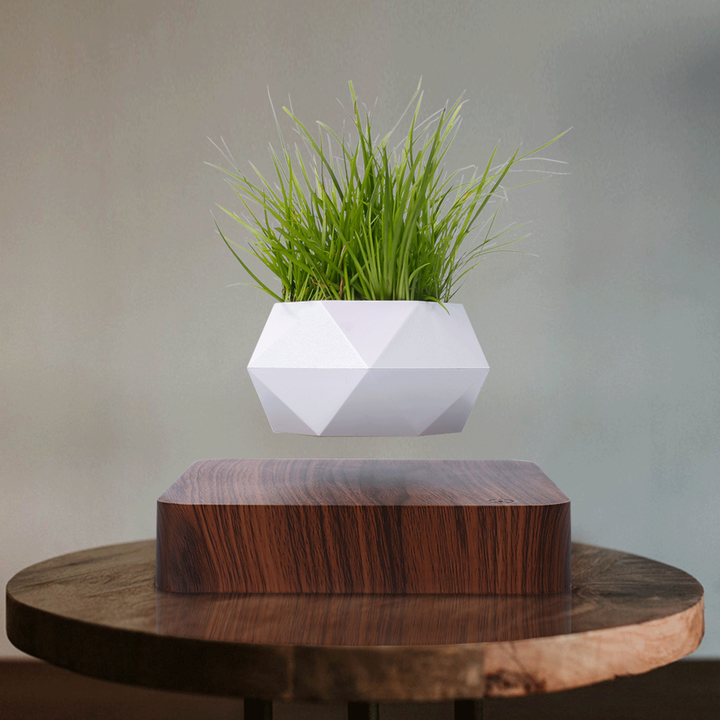 HCNT Eco-Friendly Magnetic Levitating Square Base Floating Plant Pot Art Deco Design for Home Decoration Baptism Diwali Business
