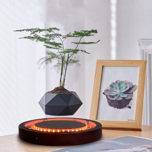 Magnetic Levitation Wooden Bonsai pots for plants Floating HCNT FLOWER POT levitation plastic plant pots for home decor
