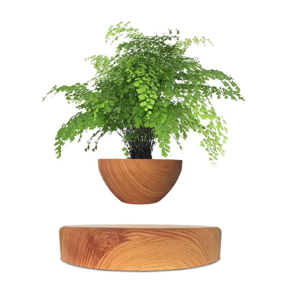Magnetic Levitation Electric Powered Wooden Bonsai Floating Flower Pot 12-15mm Levitation Creative Modern 15V 1A Certified