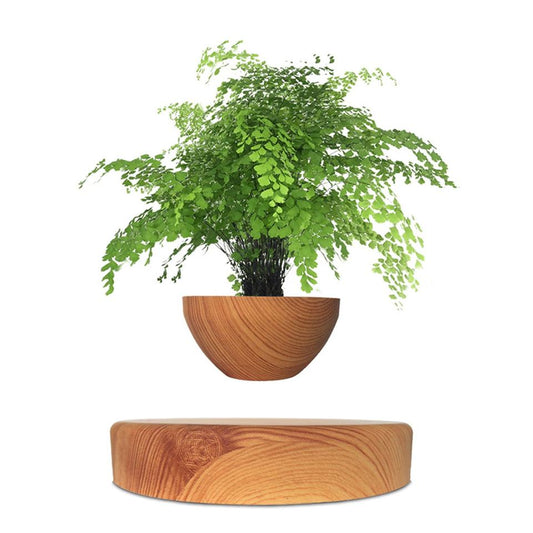 Magnetic Levitation Electric Powered Wooden Bonsai Floating Flower Pot 12-15mm Levitation Creative Modern 15V 1A Certified