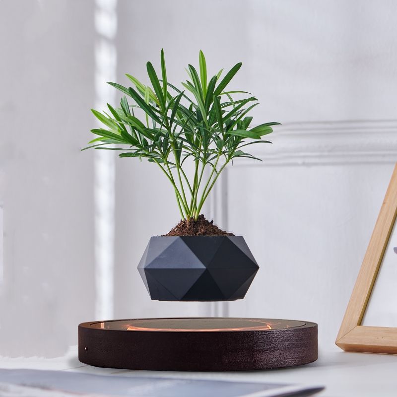 Magnetic Levitation Wooden Bonsai pots for plants Floating HCNT FLOWER POT levitation plastic plant pots for home decor
